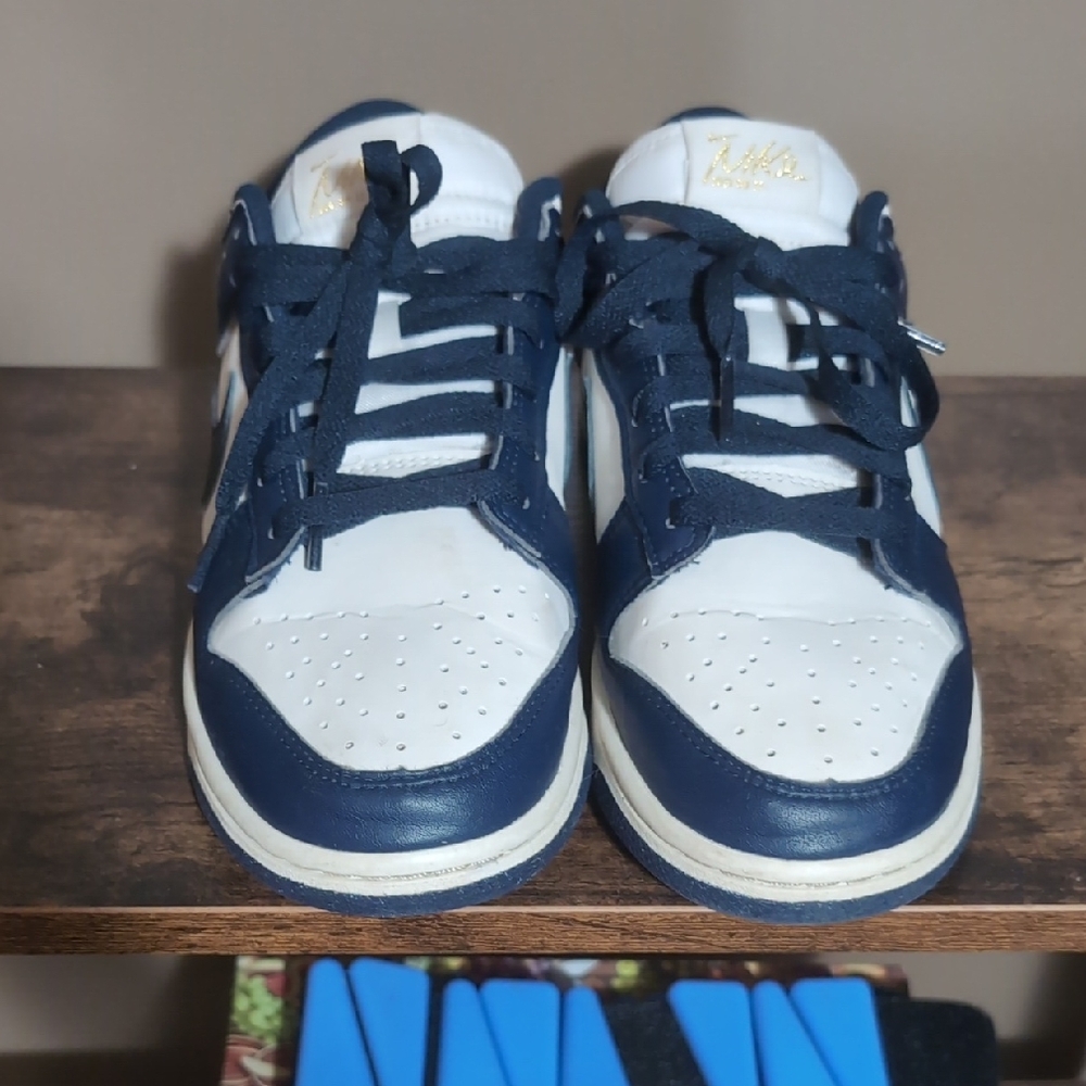 Nike Dunk Sneakers